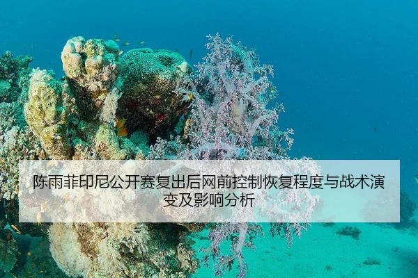陈雨菲印尼公开赛复出后网前控制恢复程度与战术演变及影响分析