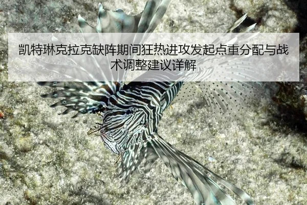 凯特琳克拉克缺阵期间狂热进攻发起点重分配与战术调整建议详解